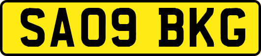 SA09BKG