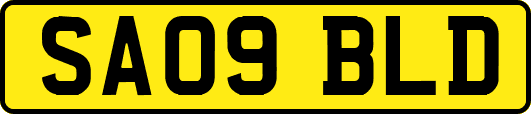 SA09BLD