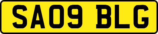 SA09BLG