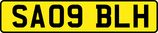 SA09BLH