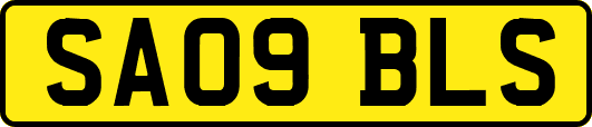SA09BLS