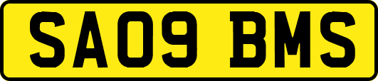 SA09BMS