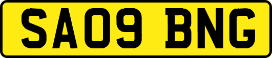 SA09BNG