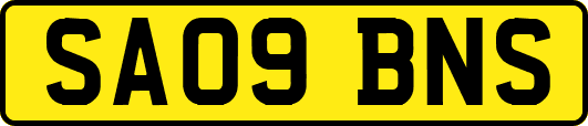 SA09BNS