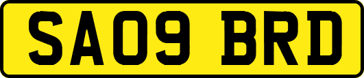 SA09BRD