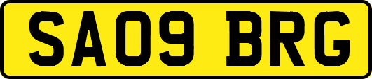 SA09BRG