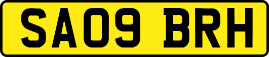 SA09BRH