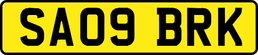 SA09BRK