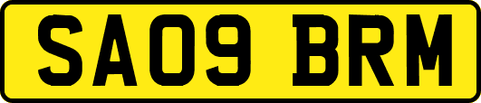 SA09BRM