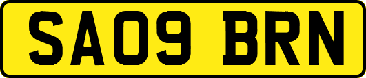 SA09BRN