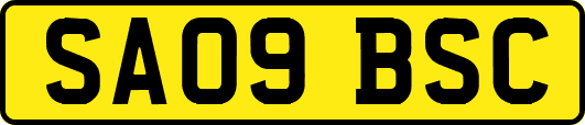 SA09BSC