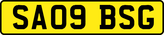 SA09BSG
