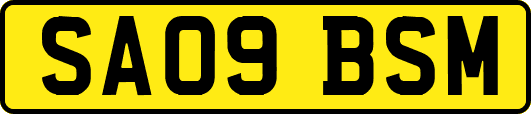 SA09BSM