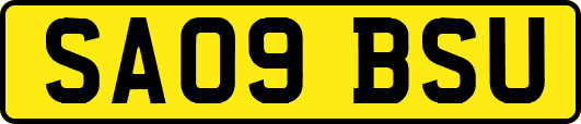 SA09BSU