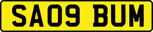 SA09BUM