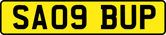 SA09BUP