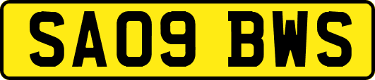 SA09BWS