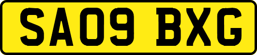 SA09BXG