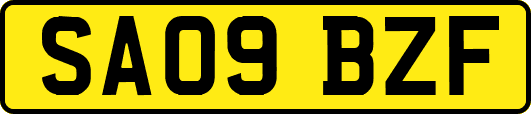 SA09BZF