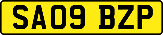 SA09BZP