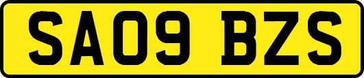 SA09BZS