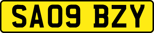 SA09BZY