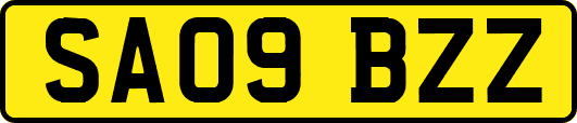 SA09BZZ