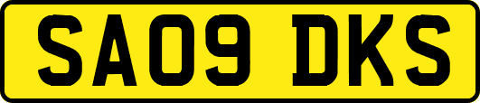 SA09DKS