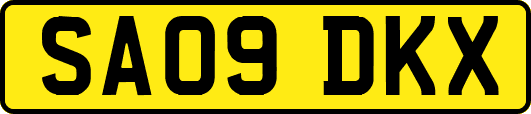 SA09DKX