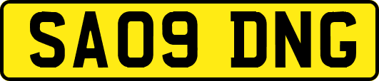 SA09DNG