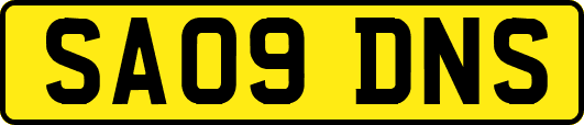 SA09DNS