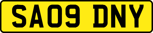 SA09DNY