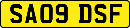 SA09DSF