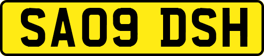 SA09DSH