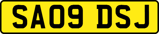 SA09DSJ