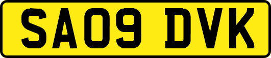 SA09DVK