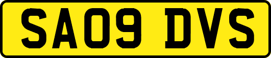 SA09DVS