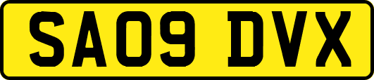 SA09DVX