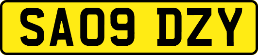 SA09DZY