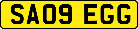 SA09EGG