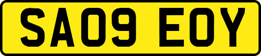 SA09EOY