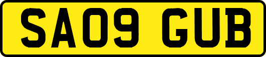 SA09GUB