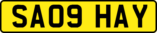 SA09HAY