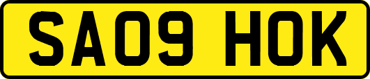 SA09HOK