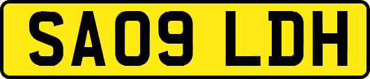 SA09LDH