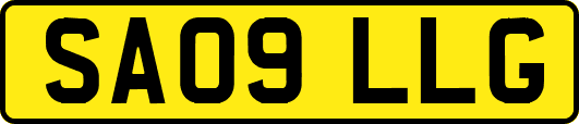 SA09LLG
