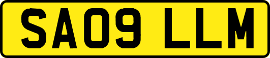 SA09LLM