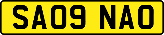 SA09NAO