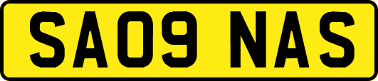 SA09NAS