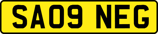 SA09NEG